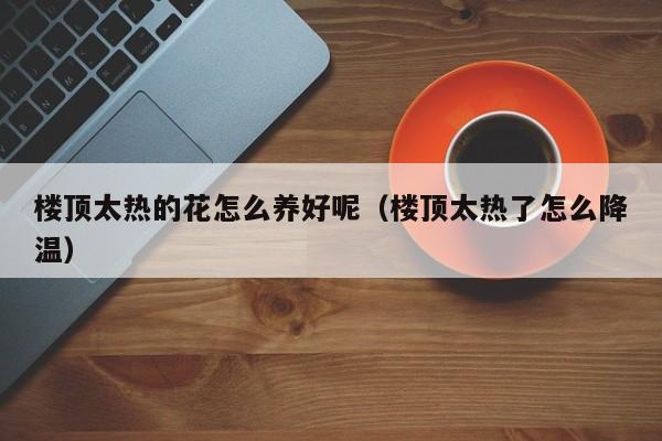 楼顶太热的花怎么养好呢（楼顶太热了怎么降温）