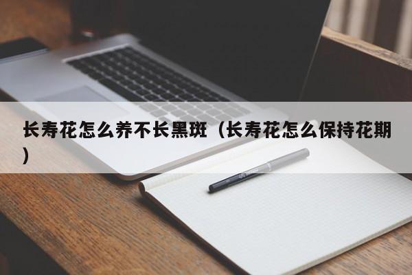 长寿花怎么养不长黑斑（长寿花怎么保持花期）