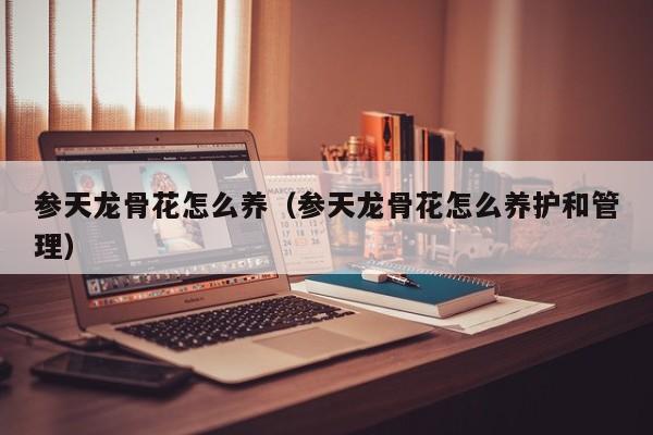 参天龙骨花怎么养（参天龙骨花怎么养护和管理）