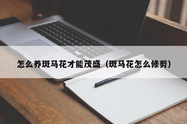 怎么养斑马花才能茂盛（斑马花怎么修剪）