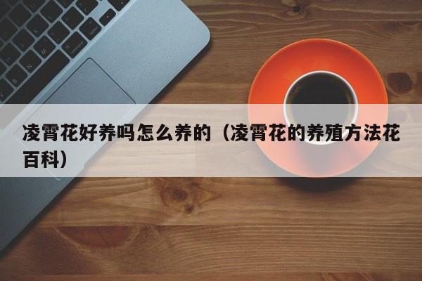 凌霄花好养吗怎么养的（凌霄花的养殖方法花百科）