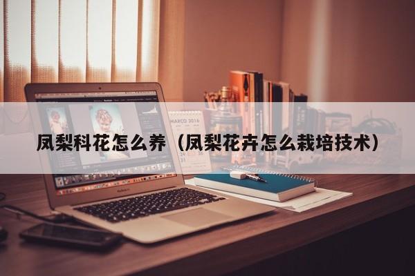 凤梨科花怎么养（凤梨花卉怎么栽培技术）