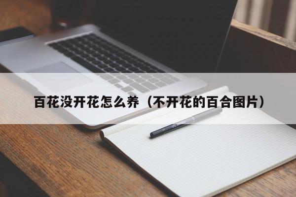 百花没开花怎么养（不开花的百合图片）