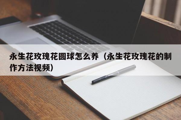永生花玫瑰花圆球怎么养（永生花玫瑰花的制作方法视频）