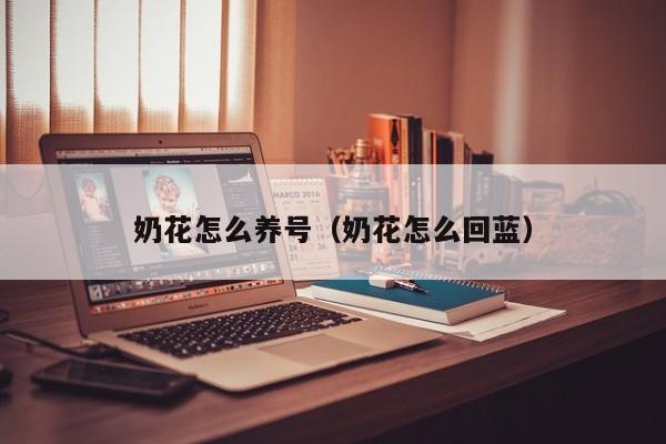奶花怎么养号（奶花怎么回蓝）