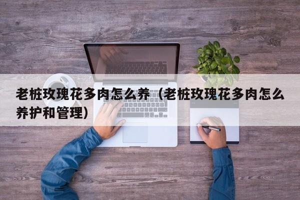 老桩玫瑰花多肉怎么养（老桩玫瑰花多肉怎么养护和管理）