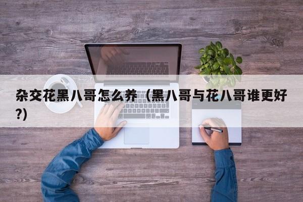 杂交花黑八哥怎么养（黑八哥与花八哥谁更好?）