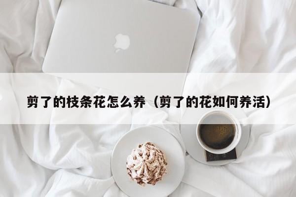 剪了的枝条花怎么养（剪了的花如何养活）