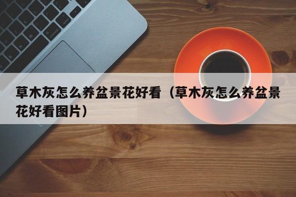 草木灰怎么养盆景花好看（草木灰怎么养盆景花好看图片）