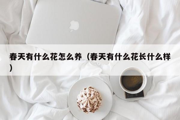 春天有什么花怎么养（春天有什么花长什么样）
