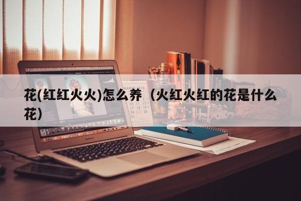 花(红红火火)怎么养（火红火红的花是什么花）