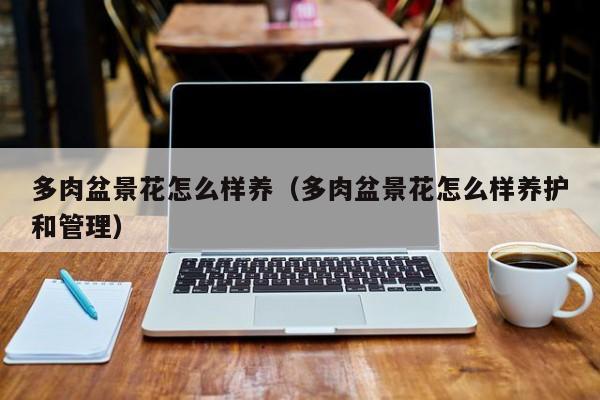 多肉盆景花怎么样养（多肉盆景花怎么样养护和管理）