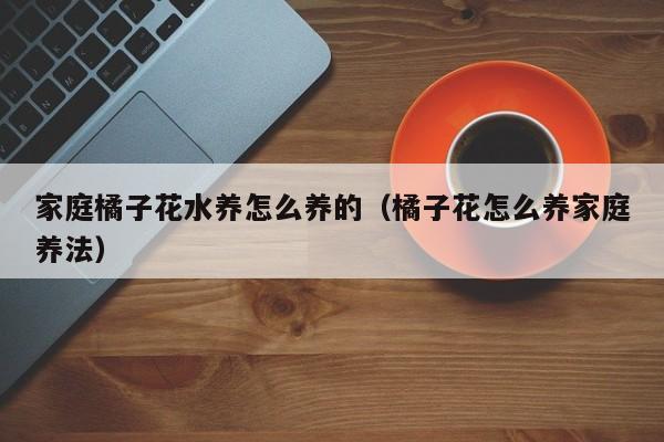 家庭橘子花水养怎么养的（橘子花怎么养家庭养法）