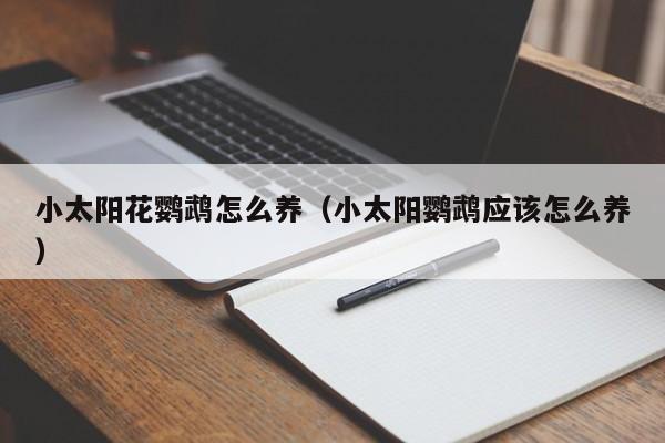 小太阳花鹦鹉怎么养（小太阳鹦鹉应该怎么养）