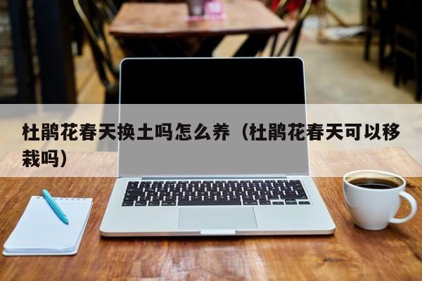 杜鹃花春天换土吗怎么养（杜鹃花春天可以移栽吗）