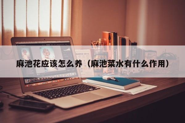 麻池花应该怎么养（麻池菜水有什么作用）