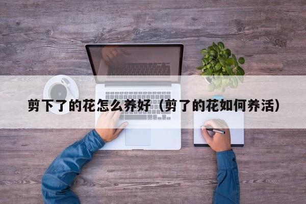 剪下了的花怎么养好（剪了的花如何养活）