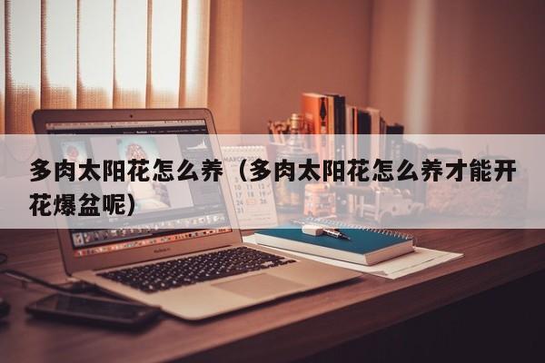 多肉太阳花怎么养（多肉太阳花怎么养才能开花爆盆呢）