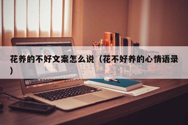 花养的不好文案怎么说（花不好养的心情语录）