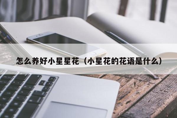 怎么养好小星星花（小星花的花语是什么）