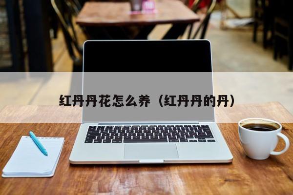 红丹丹花怎么养（红丹丹的丹）