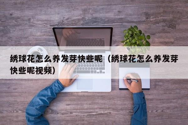 绣球花怎么养发芽快些呢（绣球花怎么养发芽快些呢视频）