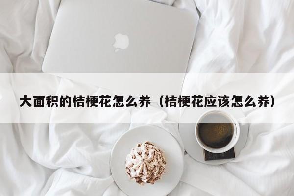 大面积的桔梗花怎么养（桔梗花应该怎么养）