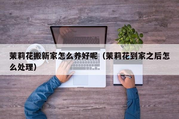 茉莉花搬新家怎么养好呢（茉莉花到家之后怎么处理）