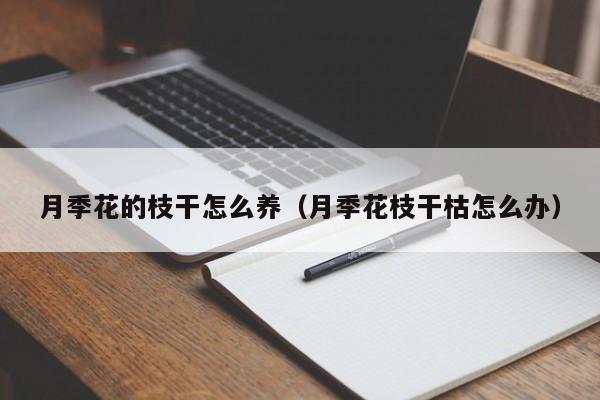 月季花的枝干怎么养（月季花枝干枯怎么办）