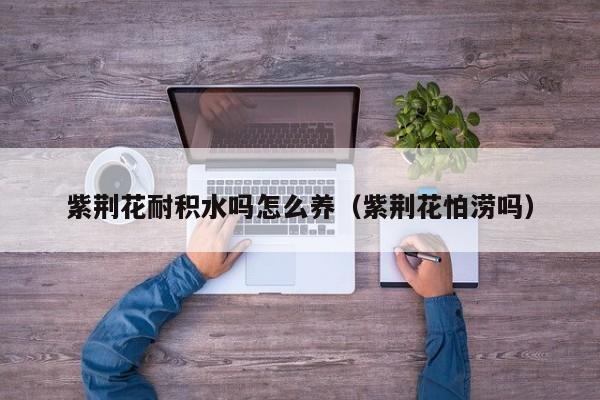 紫荆花耐积水吗怎么养（紫荆花怕涝吗）