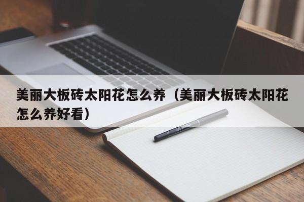 美丽大板砖太阳花怎么养（美丽大板砖太阳花怎么养好看）