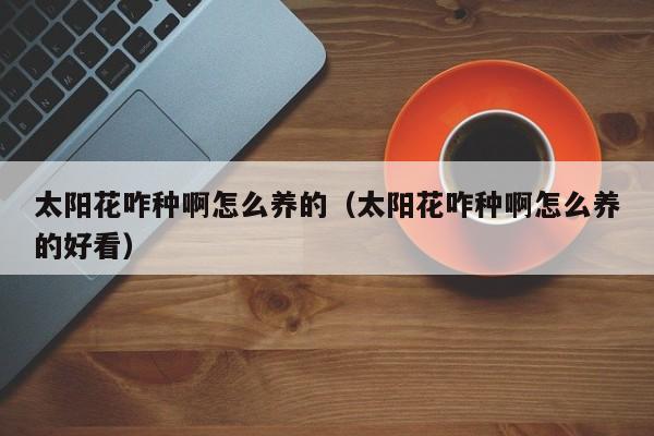 太阳花咋种啊怎么养的（太阳花咋种啊怎么养的好看）