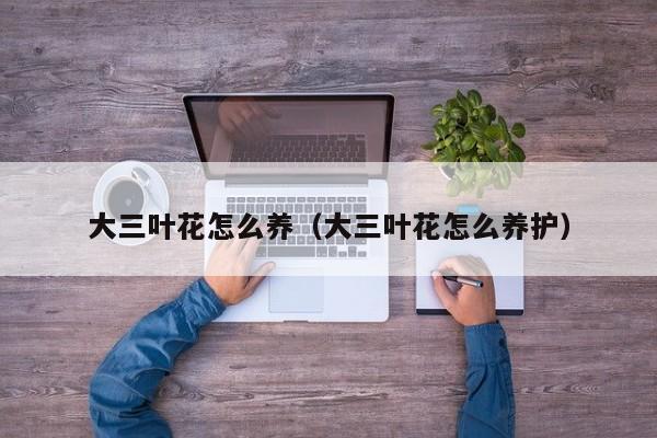 大三叶花怎么养（大三叶花怎么养护）