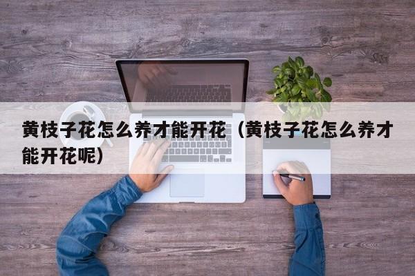 黄枝子花怎么养才能开花（黄枝子花怎么养才能开花呢）