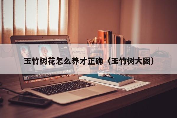玉竹树花怎么养才正确（玉竹树大图）