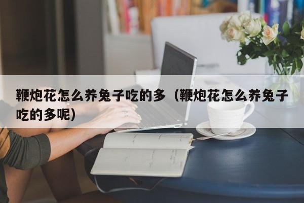 鞭炮花怎么养兔子吃的多（鞭炮花怎么养兔子吃的多呢）
