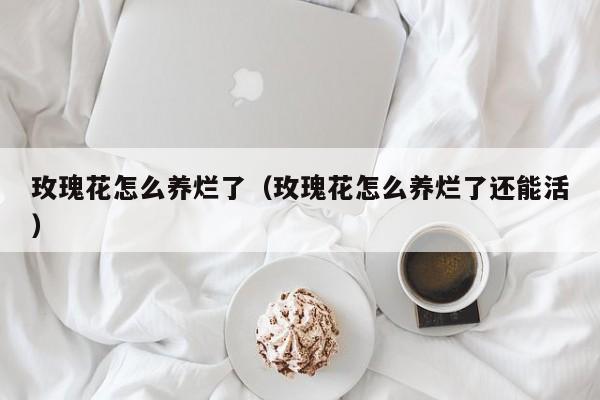 玫瑰花怎么养烂了（玫瑰花怎么养烂了还能活）