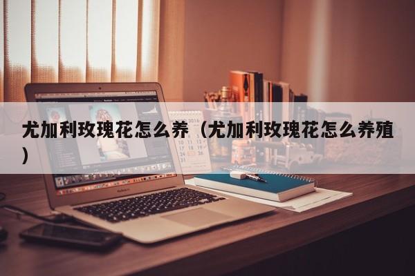 尤加利玫瑰花怎么养（尤加利玫瑰花怎么养殖）