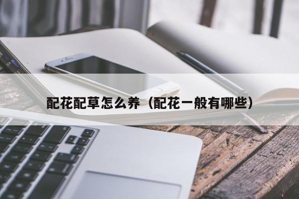 配花配草怎么养（配花一般有哪些）