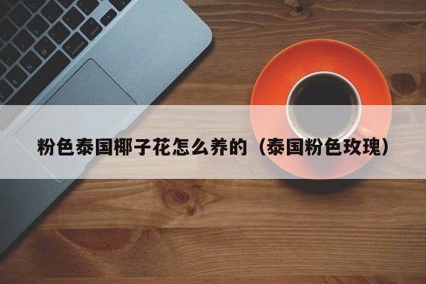 粉色泰国椰子花怎么养的（泰国粉色玫瑰）