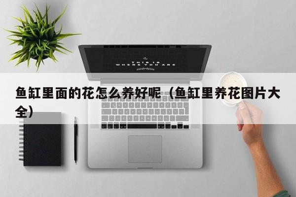 鱼缸里面的花怎么养好呢（鱼缸里养花图片大全）