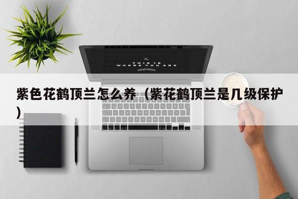 紫色花鹤顶兰怎么养（紫花鹤顶兰是几级保护）