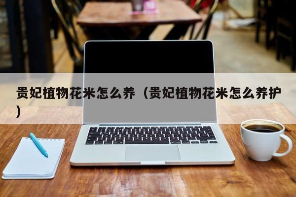 贵妃植物花米怎么养（贵妃植物花米怎么养护）