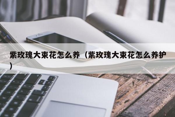 紫玫瑰大束花怎么养（紫玫瑰大束花怎么养护）