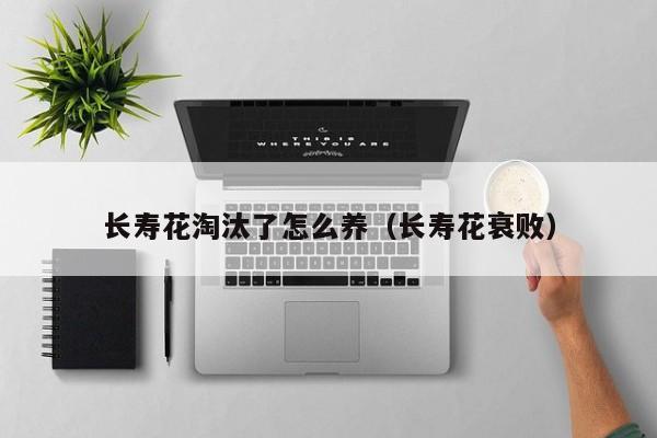 长寿花淘汰了怎么养（长寿花衰败）