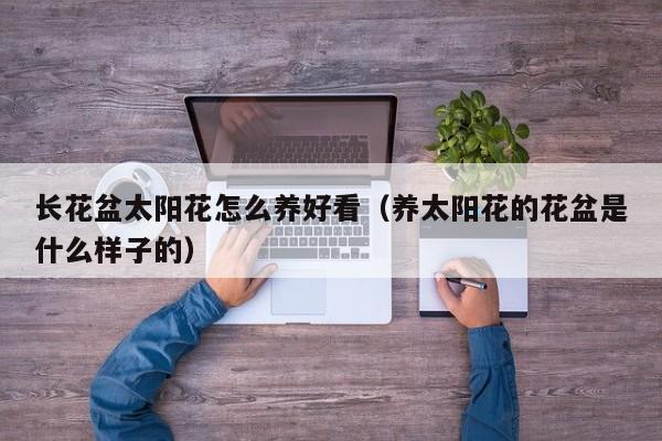 长花盆太阳花怎么养好看（养太阳花的花盆是什么样子的）