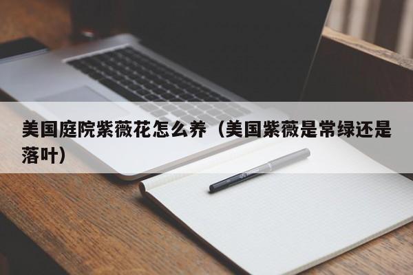 美国庭院紫薇花怎么养（美国紫薇是常绿还是落叶）