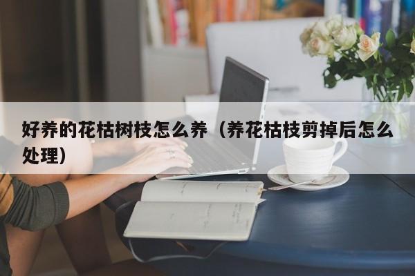 好养的花枯树枝怎么养（养花枯枝剪掉后怎么处理）