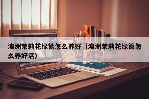 澳洲茉莉花绿篱怎么养好（澳洲茉莉花绿篱怎么养好活）