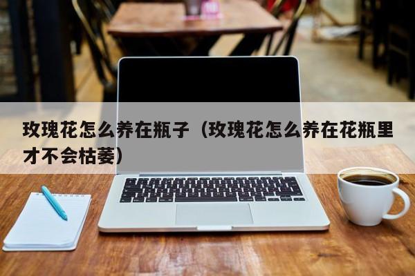 玫瑰花怎么养在瓶子（玫瑰花怎么养在花瓶里才不会枯萎）
